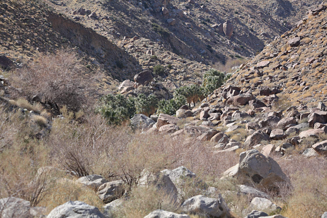 Hellhole Canyon Oasis