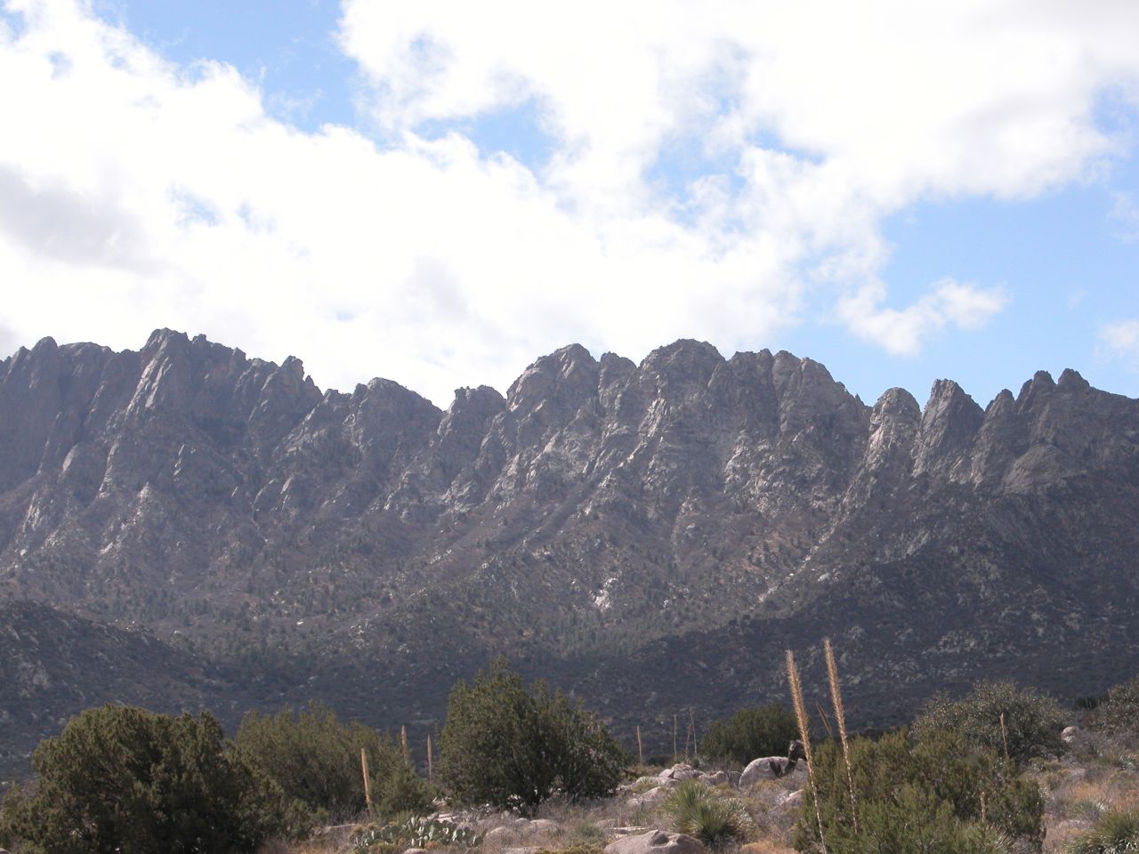 The Organ Mountains