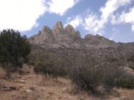 The Organ Mountains