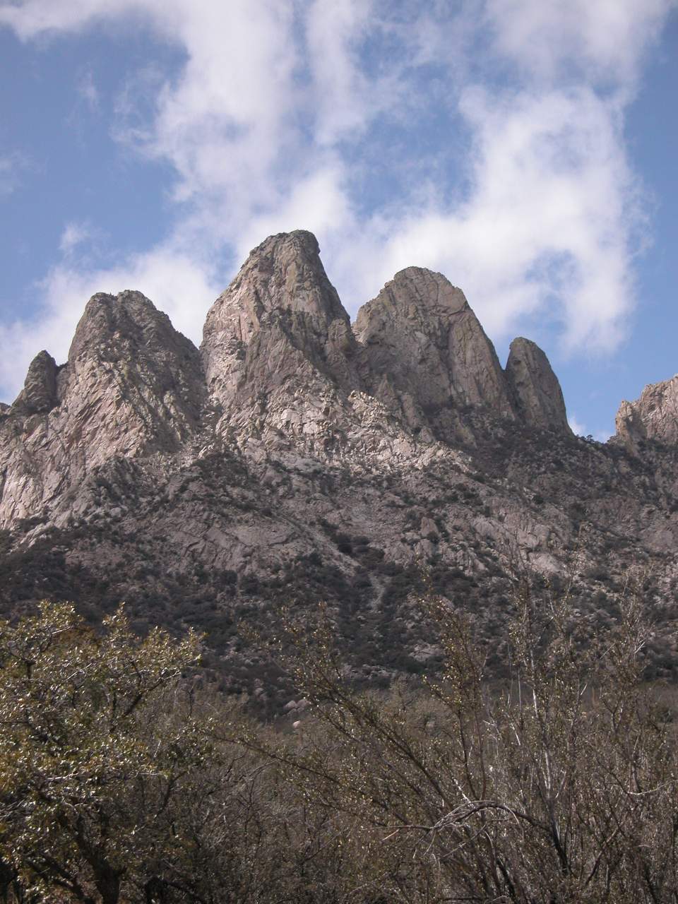 The Organ Mountains