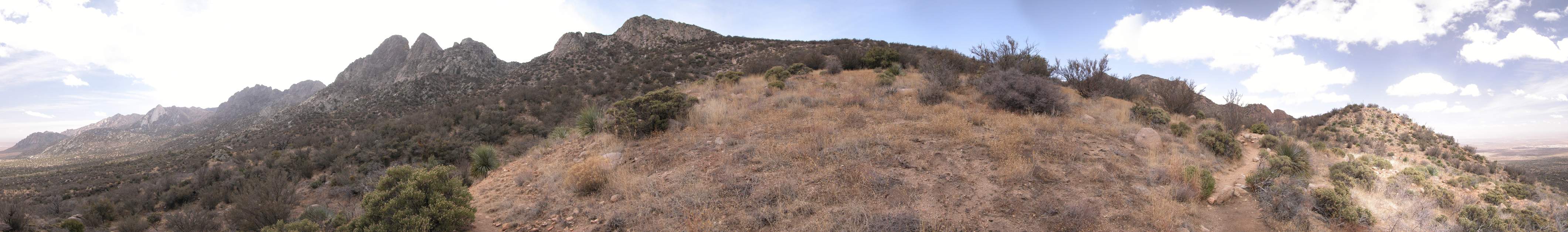 The Organ Mountains