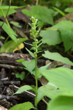 Frederick County Natural Areas