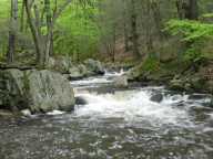 Waterfall on the Black River