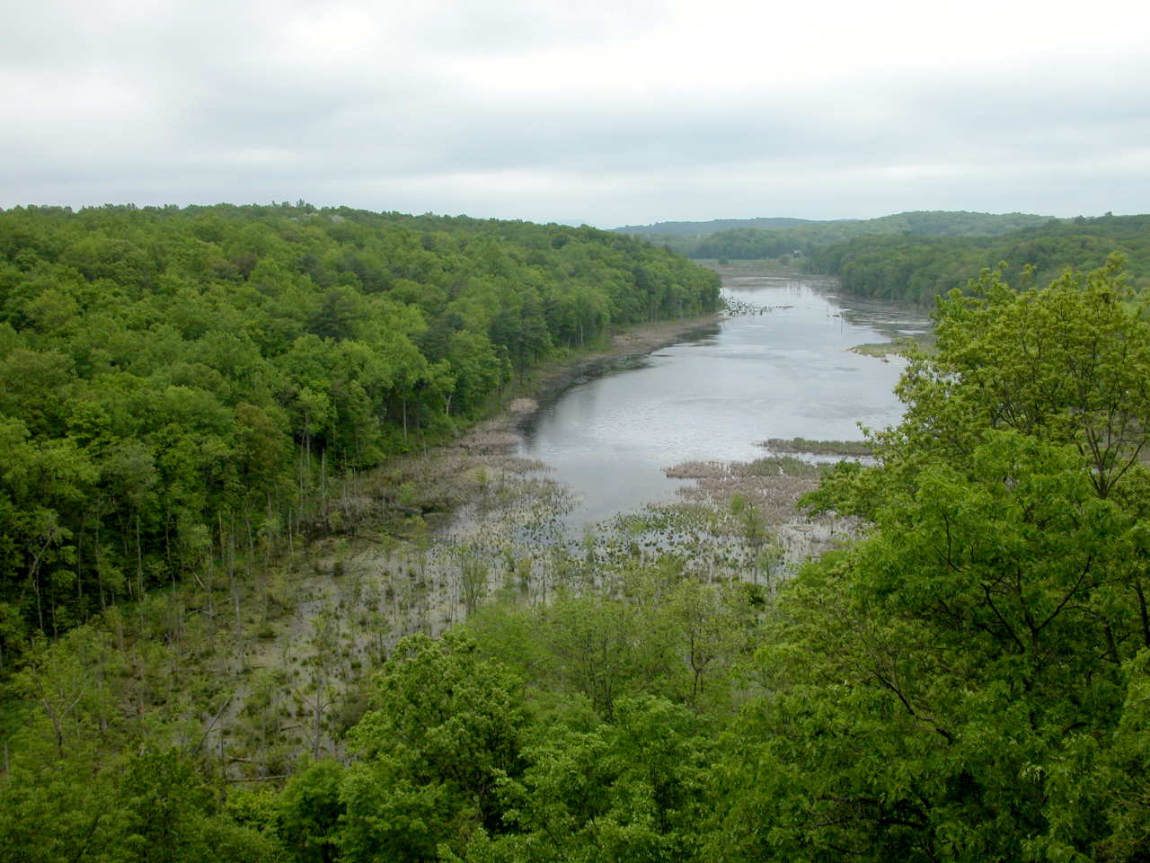 Mud Pond