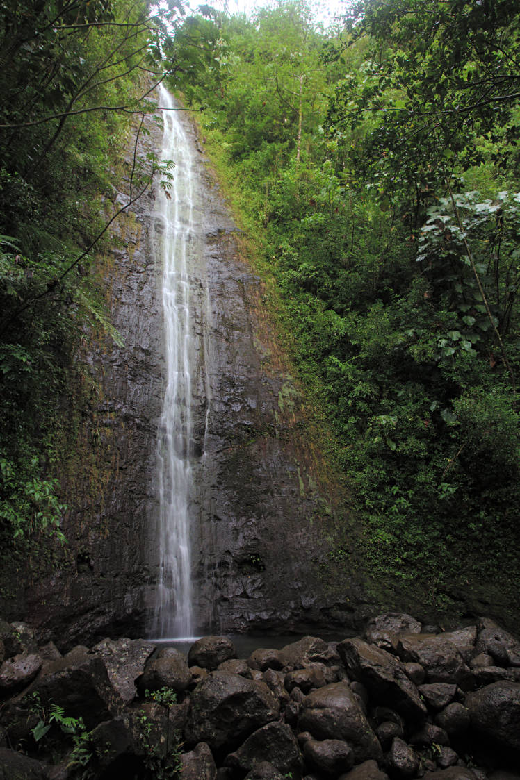 Manoa Falls