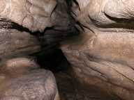 Wolf Cave