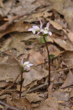 Passaic County Natural Areas