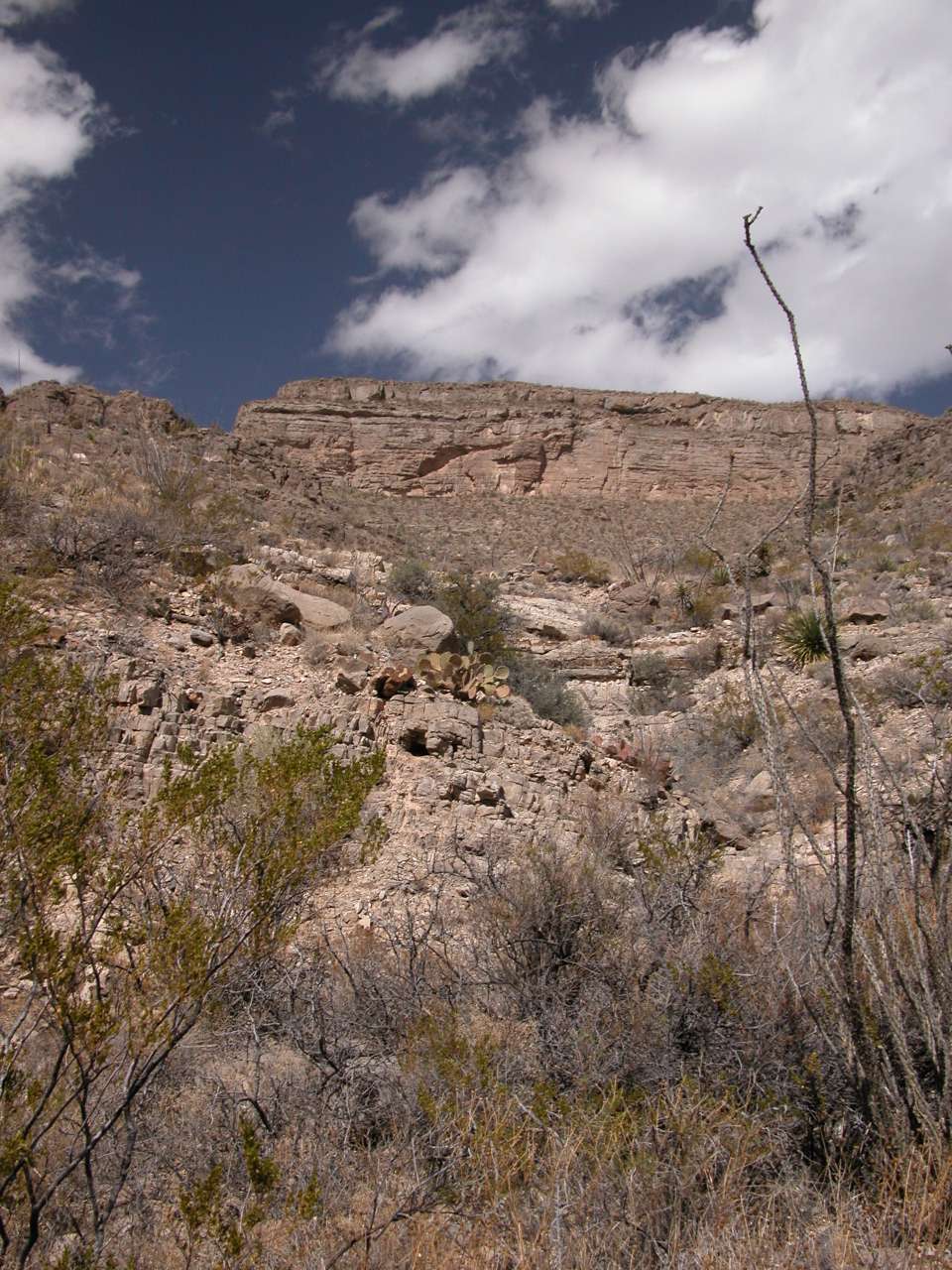 Canyon Wall