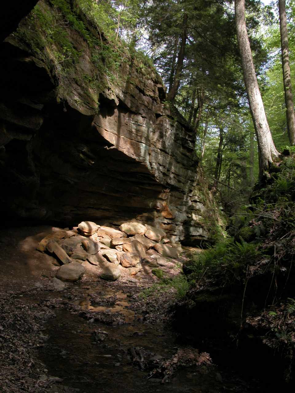 Fallen rocks