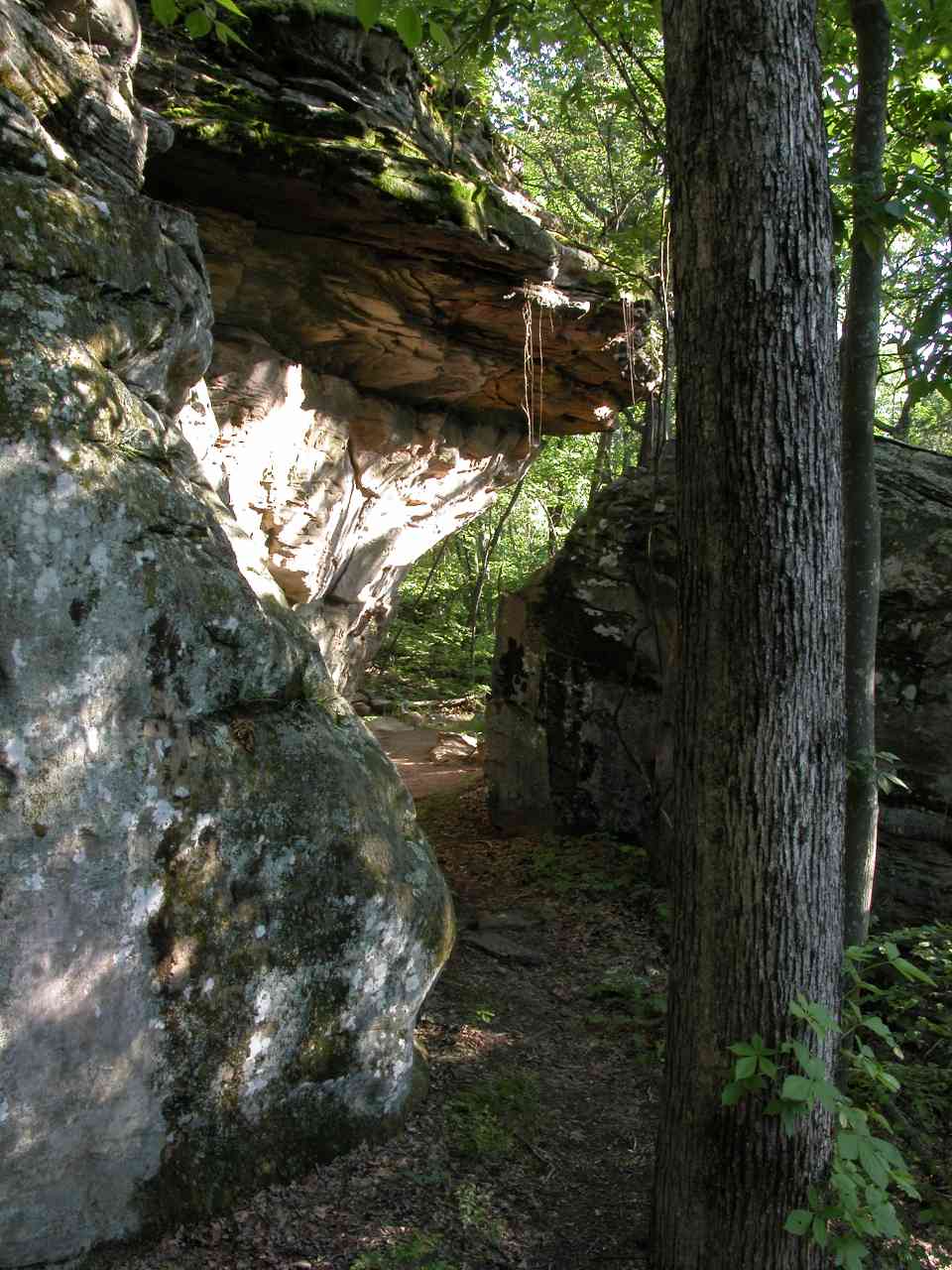 High Knob