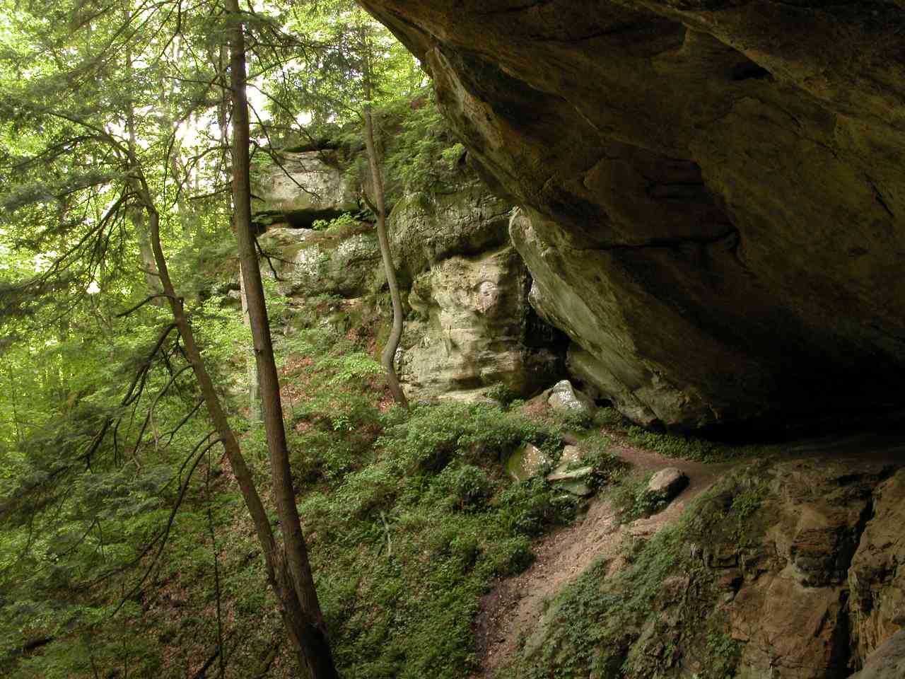 Sandstone overhang