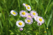 Sussex County Natural Areas