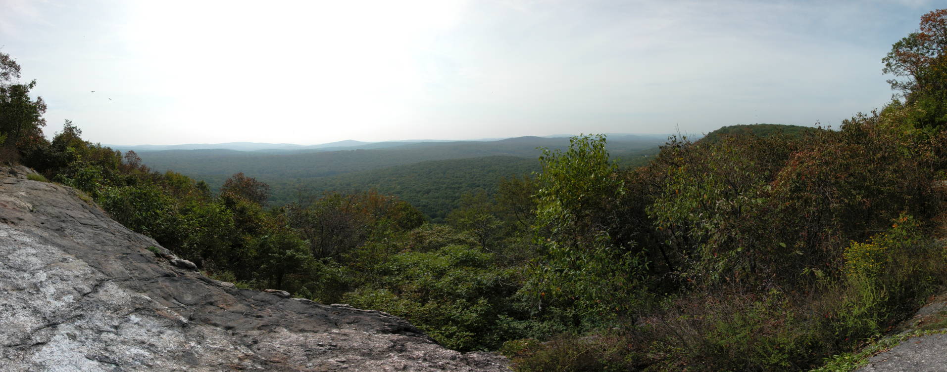 Hawkwatch at Wildcat Ridge WMA