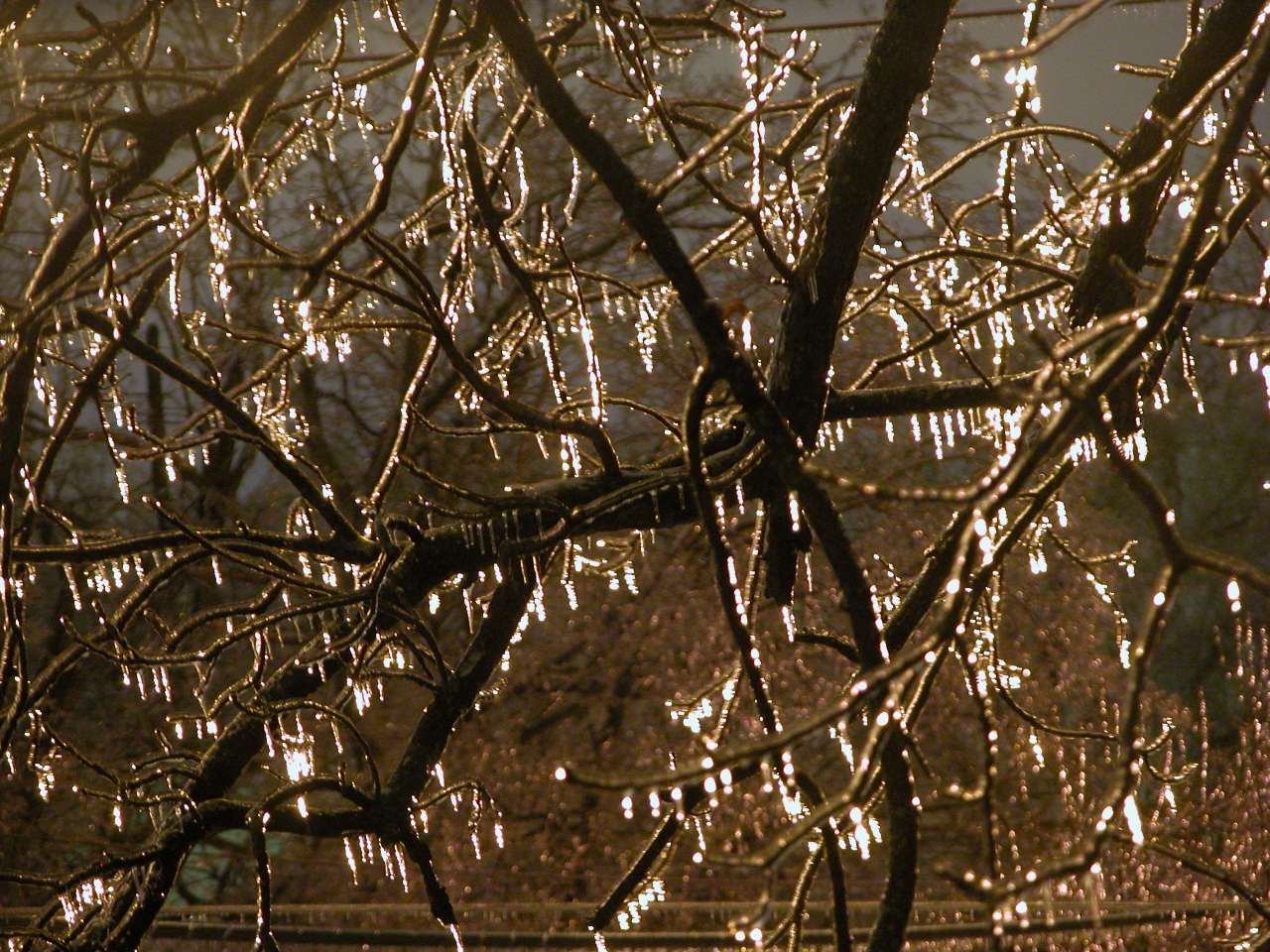 Ice Storm